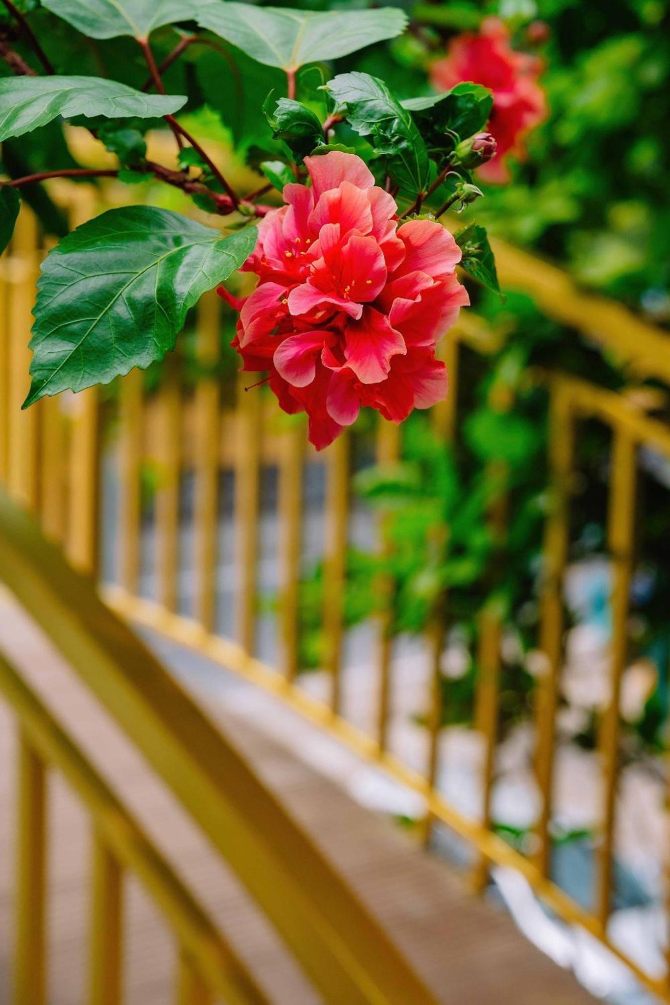 Ecorest Villa Cat Ba Chan Chau 외부 사진