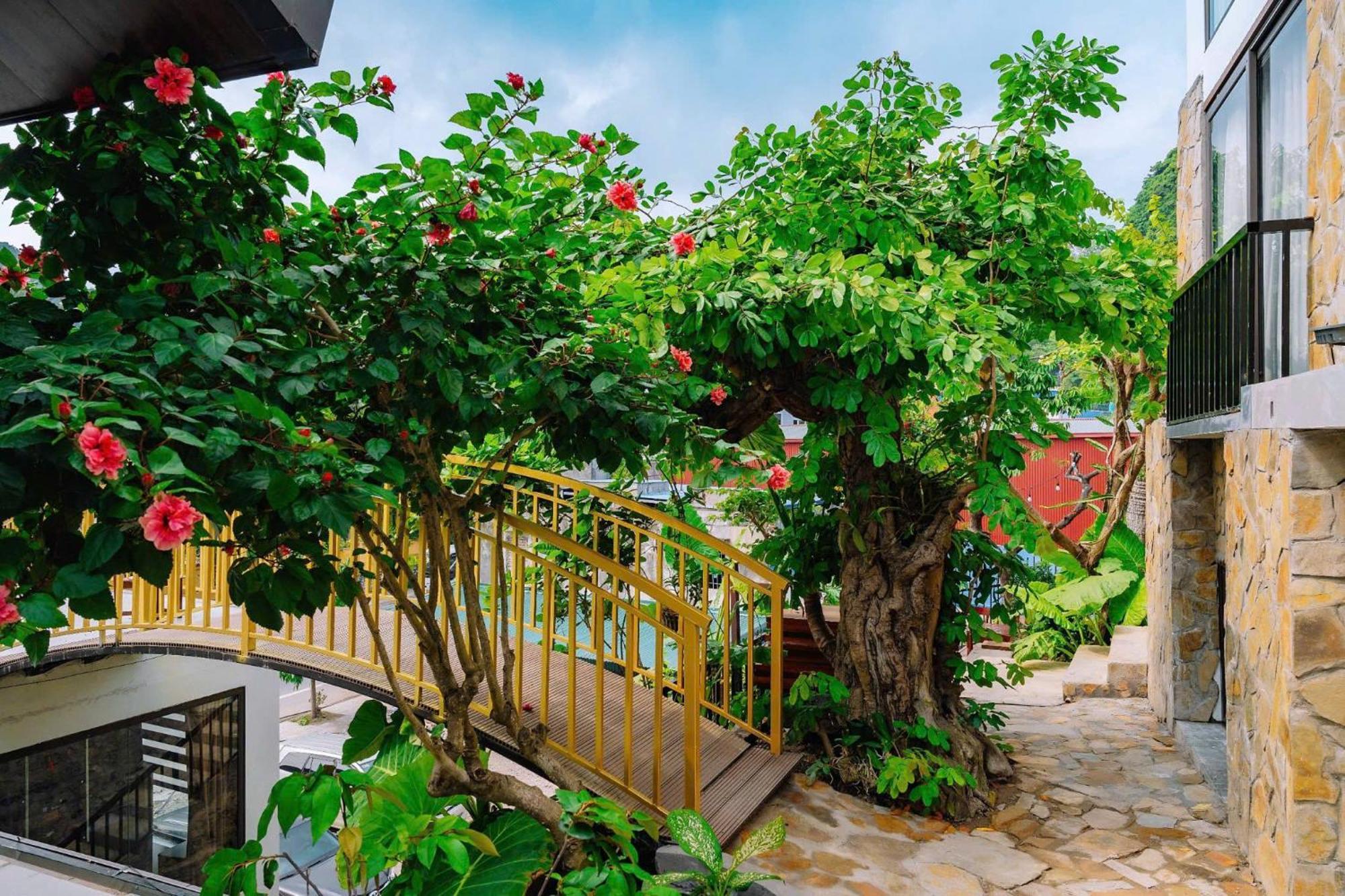 Ecorest Villa Cat Ba Chan Chau 외부 사진